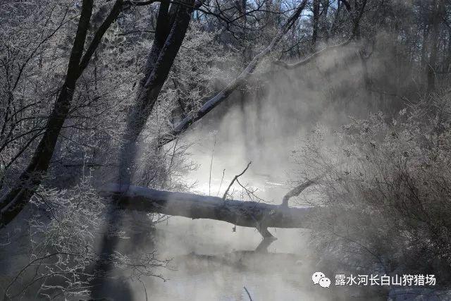 南瓜新吃法,不做南瓜饼,越吃越上瘾,做法超简单!-最全面的问答类网站